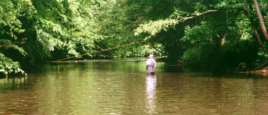 Fliegenfischen Bad Liebenzell